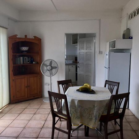 Appartement Carenage View à St. George's Extérieur photo