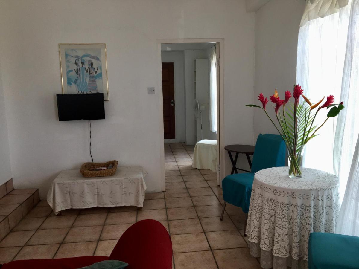 Appartement Carenage View à St. George's Extérieur photo