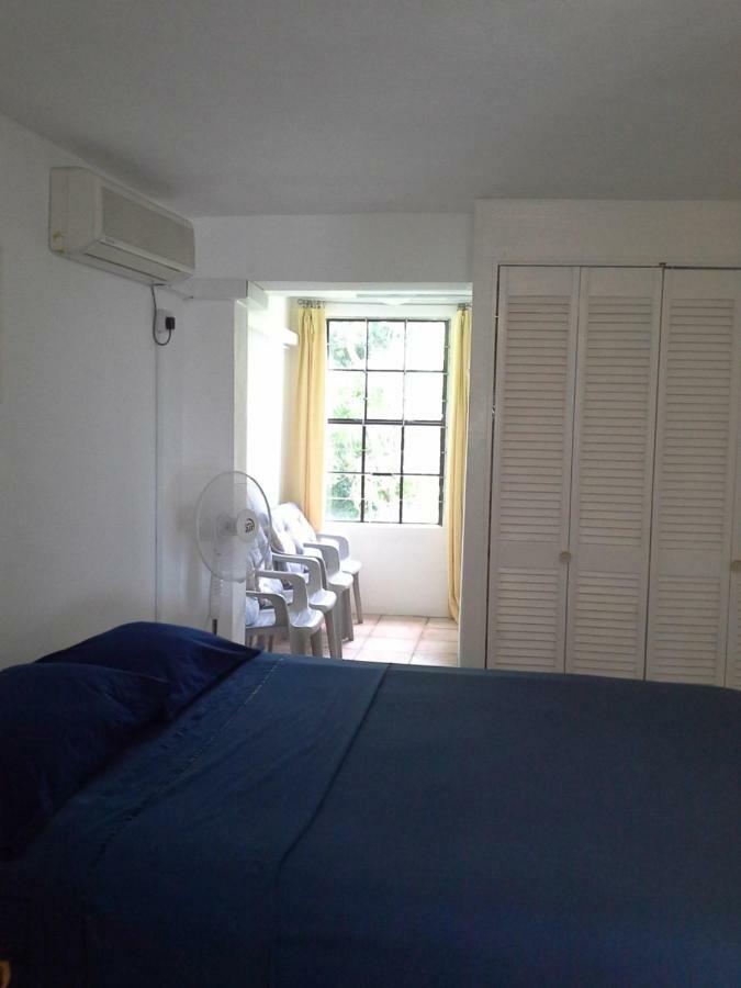 Appartement Carenage View à St. George's Extérieur photo